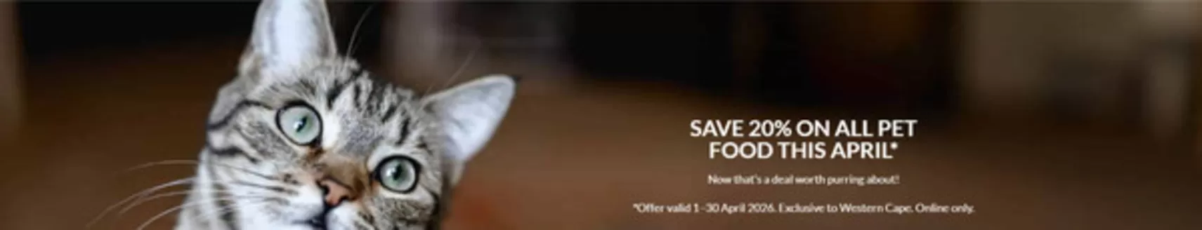 Stodels catalogue in Brakpan | Stodels Promo | 2026-04-02T00:00:00.000Z - 2026-04-30T00:00:00.000Z